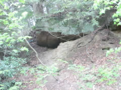 another cave
